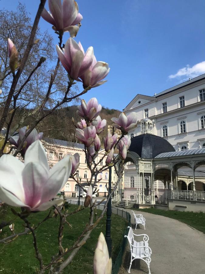 Apartment Sadova Karlovy Vary Bagian luar foto